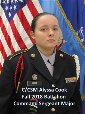 cook 